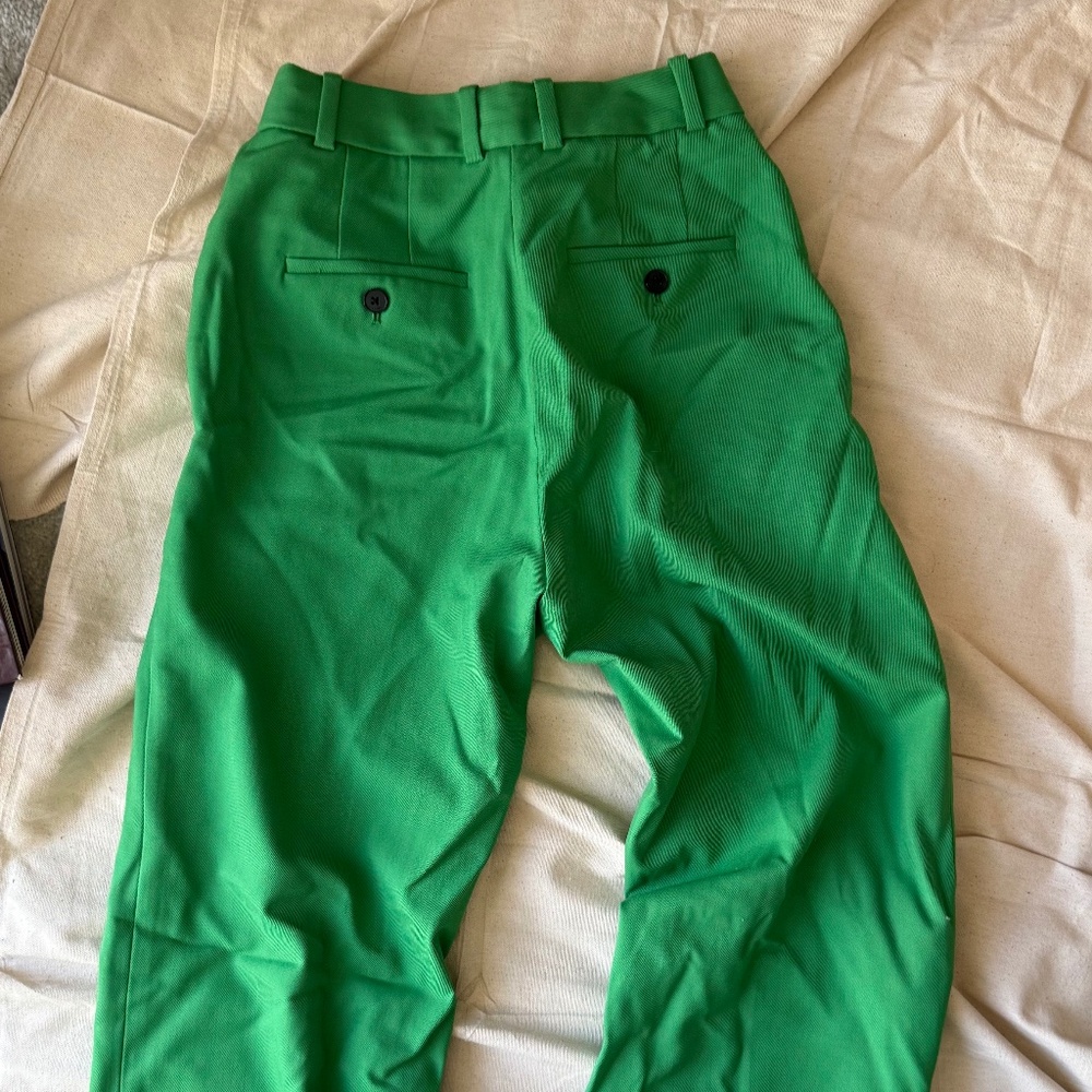 Babaton Green Pants